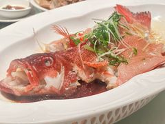 -金河半岛园林酒家(金融城店)