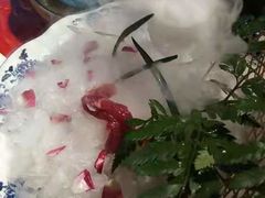 -巴九门老火锅(来福士打望店)