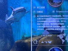 -重庆欢乐海底世界