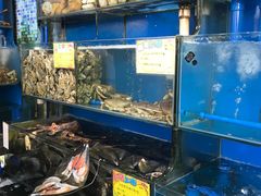 -蚝专家(北滘店)