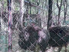-草根堂农场