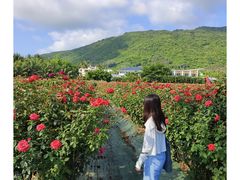 -亚龙湾国际玫瑰谷