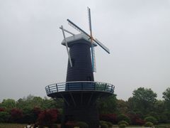 iphone_upload_pic-上海鲜花港