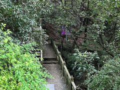 -宁波市保国寺古建筑博物馆