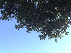 景点-焦山风景区