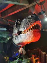 -恐龙探索乐园(磁器口店)