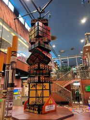 -卡通尼·Safari非洲探索乐园·生日会(金桥国际商业广场店)