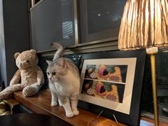 -咖法森林·咖啡  酒吧(天河店)