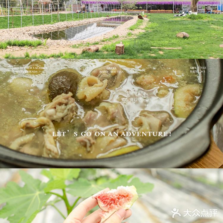 清远美食必吃榜!征服味蕾的无花果浸鸡