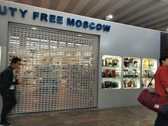 -谢列梅捷沃国际机场