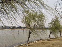-九龙湖公园