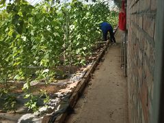 -万源龙顺度假庄园生态观光园