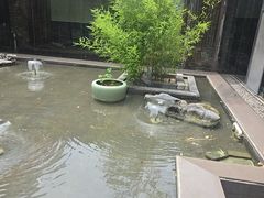 -竹雨堂创意中国菜(裕华店)