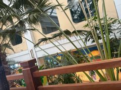 -国信南山温泉