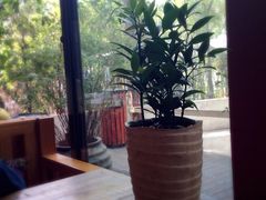 iphone_upload_pic-旅马餐厅(茅家埠店)