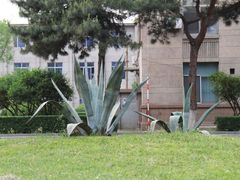 -辽宁大学(崇山校区)