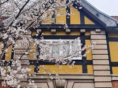 -上海瑞金洲际酒店