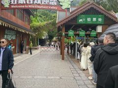 -野象谷景区