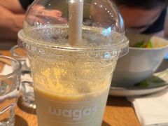 -Wagas沃歌斯(汇智店)