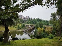 -东岳体育公园