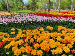 -国家植物园南园