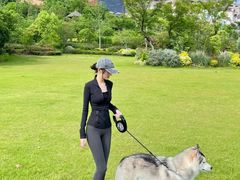 -瑞派天使宠物医院·神经外科·骨科·核磁(洛川中路店)