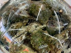 海螺-海岸风情蒸汽海鲜自助餐厅(家宴金手勺店)