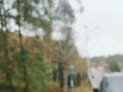 -蔡家宅
