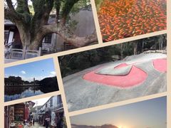 -上海黄浦旅游集散站售票处