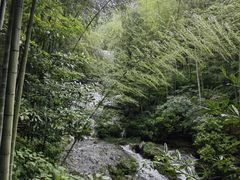 -祁门牯牛降观音堂风景区