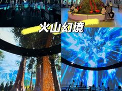 -中国西峡恐龙遗迹园