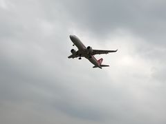 -空港花田景区