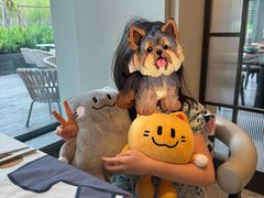 -深圳国际会展中心洲际酒店