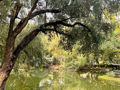 -人民公园(罗湖区)