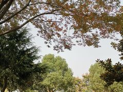 -东南大学(九龙湖校区)