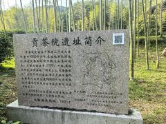 -大唐贡茶院
