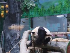 -灵玲国际马戏城