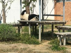 -苏州太湖国家湿地公园