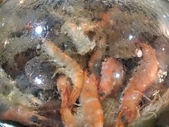 -港畔赶海蒸汽海鲜烧烤自助(仙螺岛店)