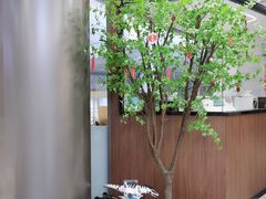 -天使口腔门诊部(上海店)