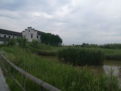 -宁波杭州湾国家湿地公园