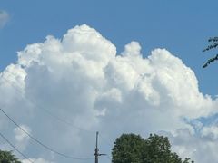 -芸山季·云南山珍菌火锅(人民广场来福士店)