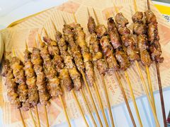 -何适山庄 ·可团建(水长城P2停车场店)