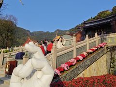 -灵光寺