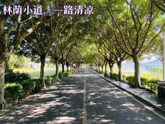 -风云岭森林公园