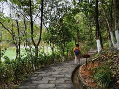 -广州白江湖森林公园