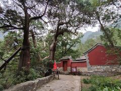 -北京上方山国家森林公园