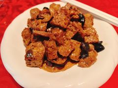 -泰康之家·申园