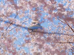 -颐和园