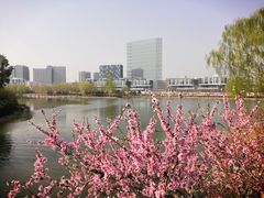 -大兴滨河森林公园